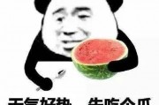 娱乐吃瓜酱管好自己吧,娱乐吃瓜酱的自律之路