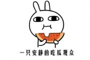 网络吃瓜事件,揭秘网络舆论的狂欢与反思