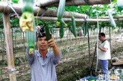 娱乐吃瓜村,揭秘娱乐圈背后的那些事儿